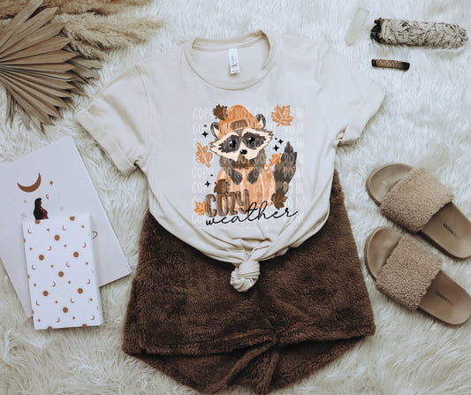 Cozy weather raccoon