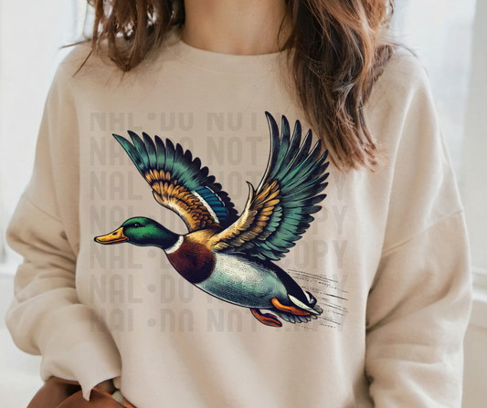 Duck