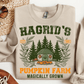 Hagrid's pumpkin farm