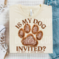 Is my dog invited if not I have plans