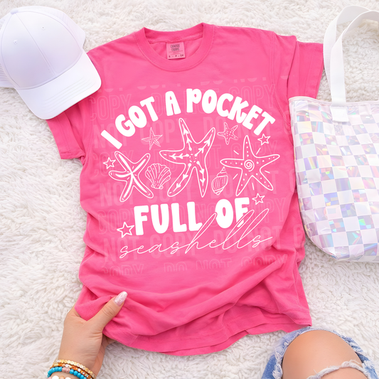 I got a pocket full of seashells