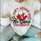 The ghost university