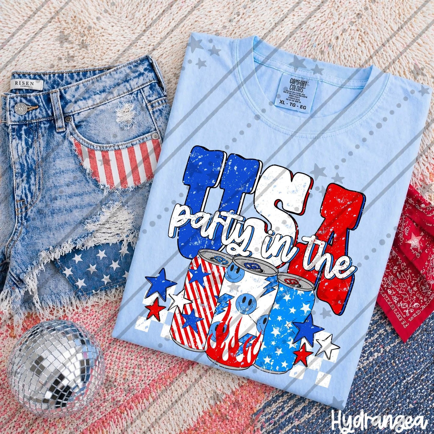 Party in the USA