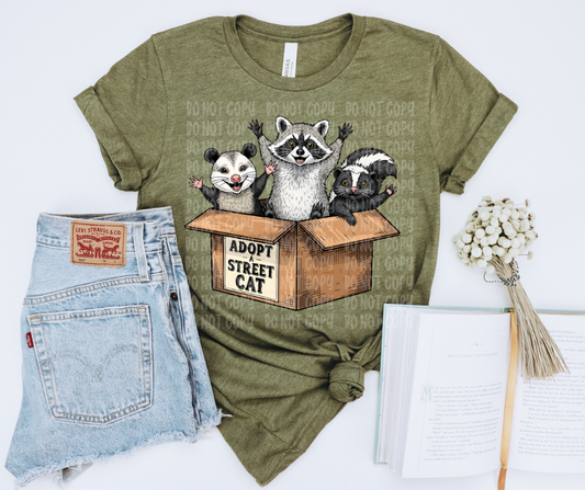Adopt a street cat