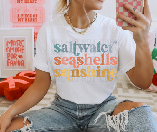 Saltwater seashells sunshine